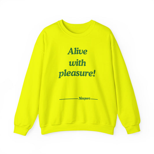 Newport Pullover